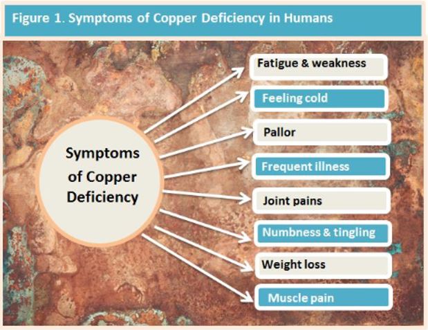 Signs Symptoms Of Copper Deficiency INTERCLINICAL LABORATORIES PTY LTD